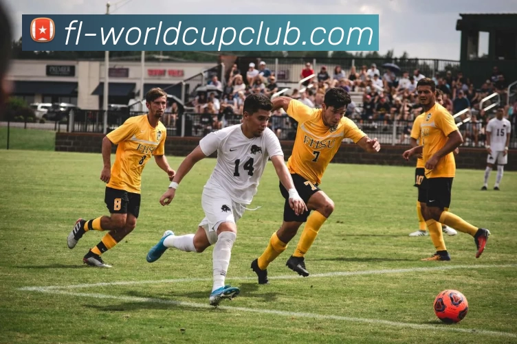 世界杯官网平台生态图